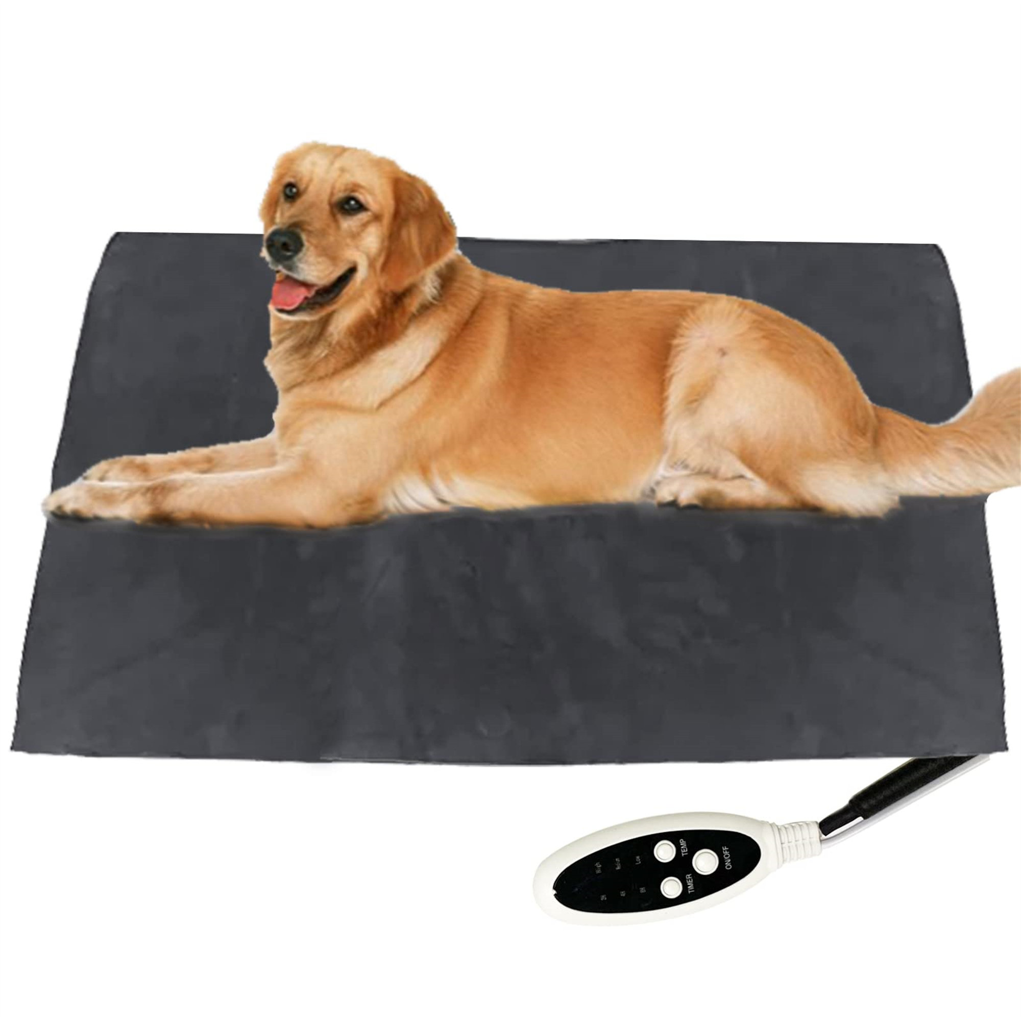 Heating pad on dog best sale